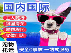云冈航空托运国际宠物托运 【国